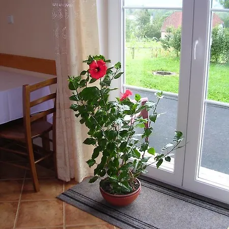 Zahorovo Loze Guest house *