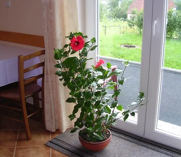 Zahorovo Loze Maison d'hôtes 3*